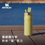ظاهر لیوان استنلی Stay Chill بر روی میز پیک‌نیک
