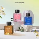دستگاه دیفیوزر شارژی در خودرو